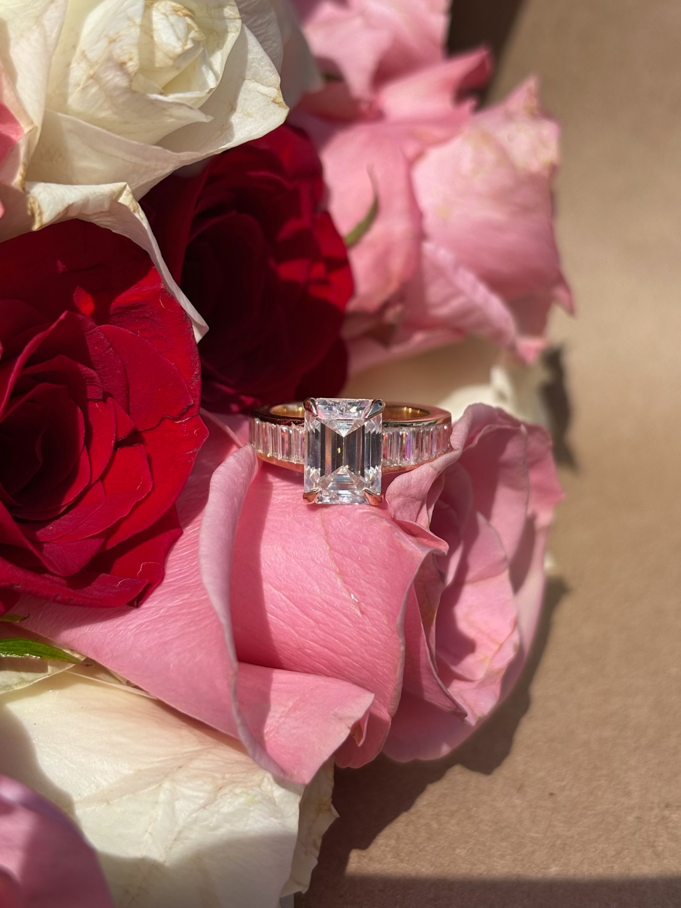 The Proposal - Photo 7